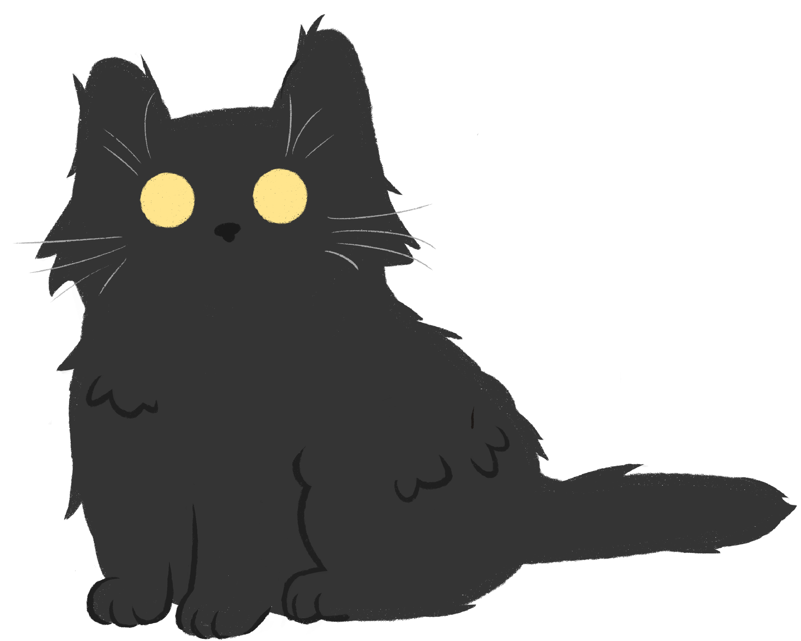 cat drawing